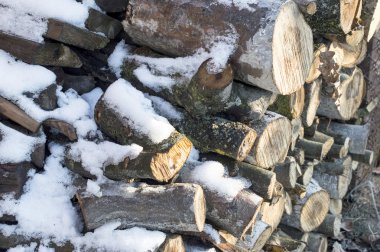 beyaz karla kaplı sırtlar oyulmuş odun 