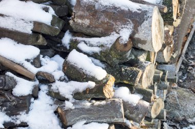 beyaz karla kaplı sırtlar oyulmuş odun 