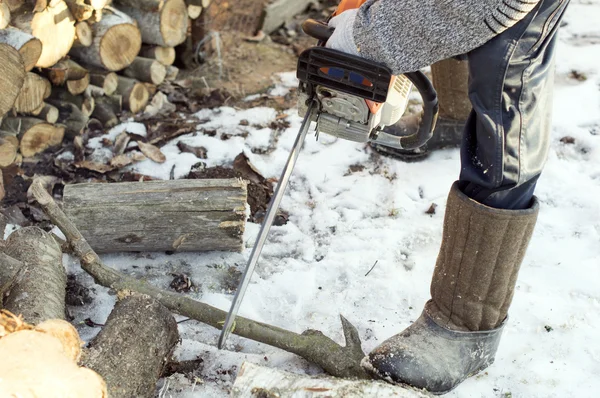 Het proces van snijden hout met een kettingzaag — Stockfoto