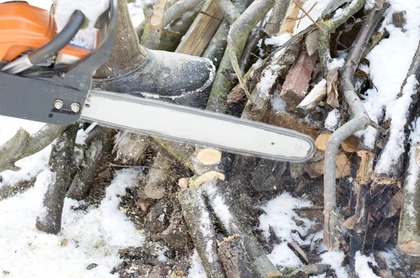 Il processo di taglio del legno con una motosega — Foto Stock