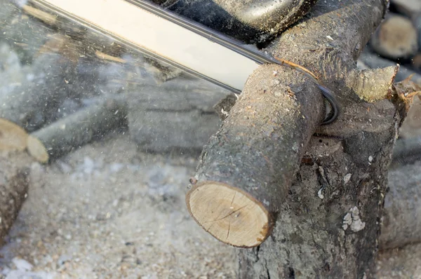 Testere yakacak odun kesme işleminde lastik — Stok fotoğraf