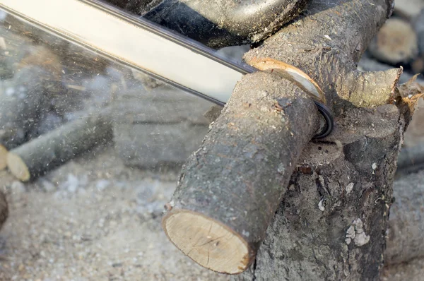 Testere yakacak odun kesme işleminde lastik — Stok fotoğraf