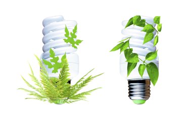 Çevre koruma bir sembolü olarak floresan ampul 