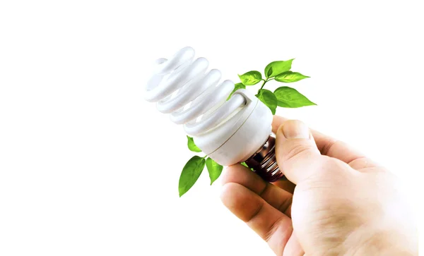 Fluorescent bulb with various green leaves in a hand — Stock Photo, Image