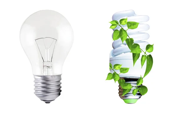 Incandescent lamp and fluorescent lamp with green foliage — Stock Photo, Image