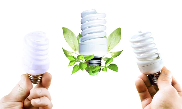 Fluorescent bulb with various green leaves in a hand — Stock Photo, Image