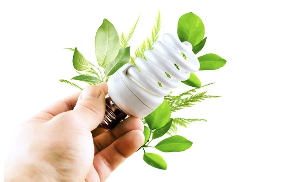 Fluorescent bulb with various green leaves in a hand — Stock Photo, Image