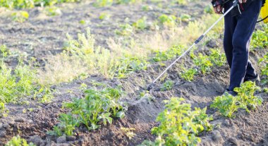 Patates böcek ilacı püskürtme bırakır