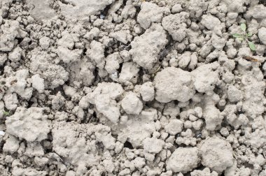 Dokular çatlaklar ile toprak arazi 