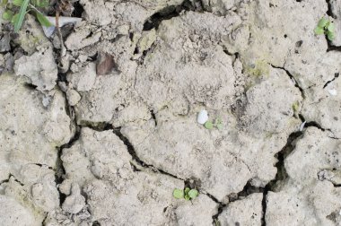 Dokular çatlaklar ile toprak arazi 