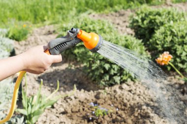 Bir hortum Bahçe çiçek sulama suyu 