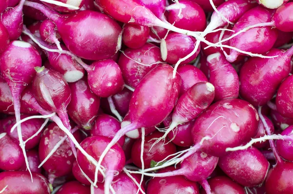 Red, ripe,  radish with roots — Stock Photo, Image