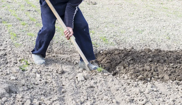 Der Prozess des Grabens — Stockfoto