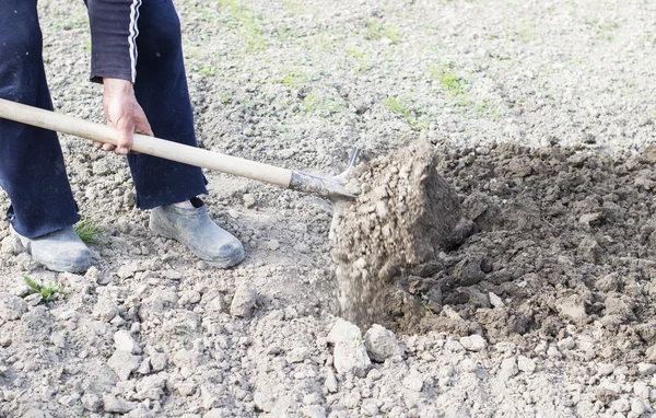 Processen att gräva — Stockfoto