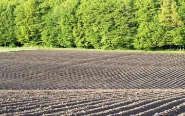 Landscape - land, field 