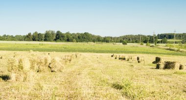 Cubic bales of dry hay
