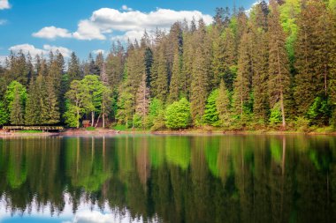 Göle yansıyan yeşil kozalaklı orman bulutlu mavi gökyüzüne karşı