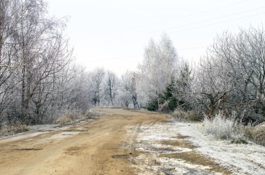 ağaçlar ve yol üzerinde beyaz hoarfrost
