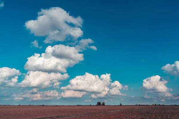 Nuvem Branca Céu Claro Sobre Campo Italiano — Fotografia de Stock