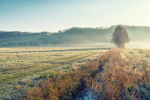 Low fog in sunday morning — Stock Photo, Image