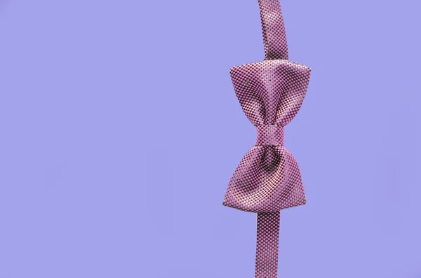 Bow tie isolated — Stock Photo, Image