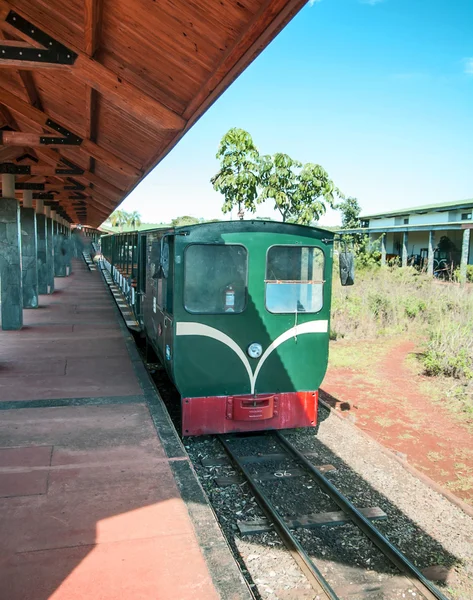 Un train dans le parc national Iguazu en Argentine — Photo