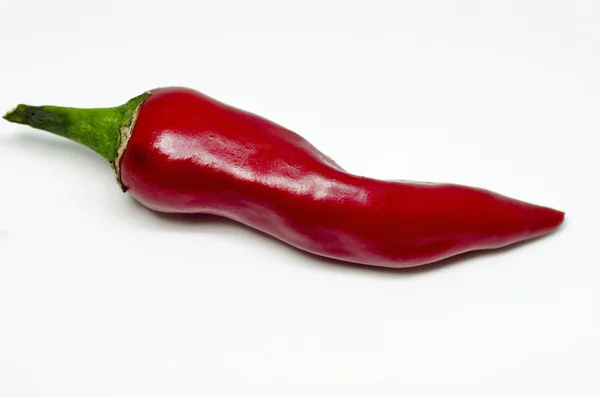 Изолированный красный перец чили — стоковое фото