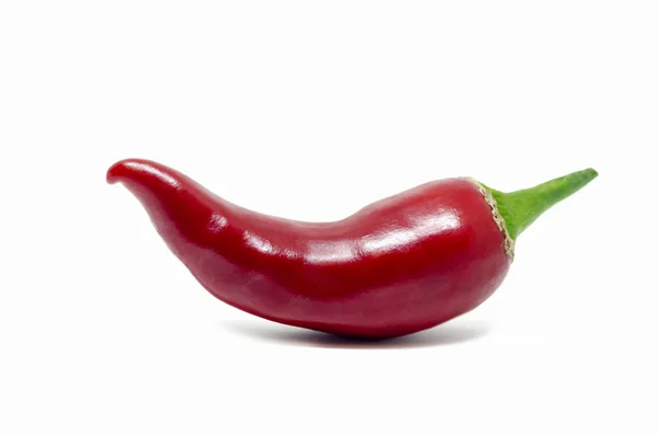Izolovaný červený chilli pepř — Stock fotografie