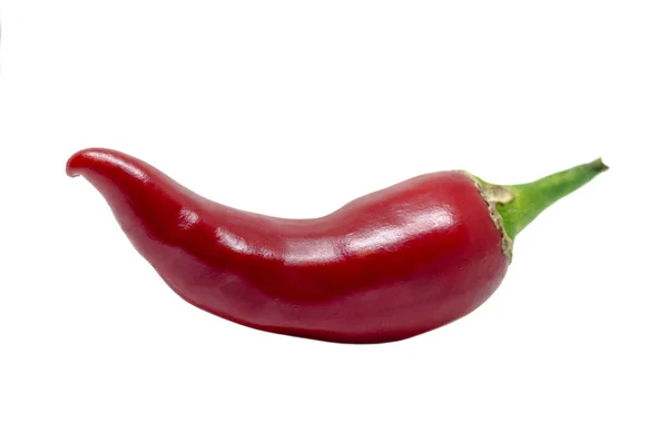 Isolierte rote Chilischote — Stockfoto