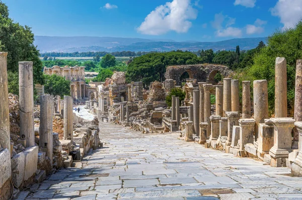Rovine Nell Antica Città Greca Efeso Efes Sulla Costa Del Foto Stock Royalty Free