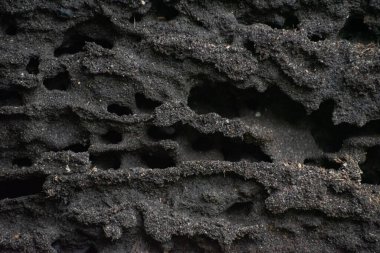 Anthill, karınca yuvası. arkaplan