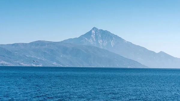 Mavi Güneşli Gökyüzünde Deniz Kıyısında Uçan Martı — Stok fotoğraf