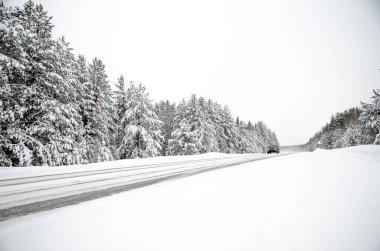 Kış yolu ve karlı ağaçlar. Minimalist kış manzarası. Bazıları Rusya 'daydı..