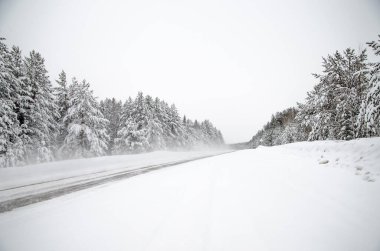 Kış yolu ve karlı ağaçlar. Minimalist kış manzarası. Bazıları Rusya 'daydı..