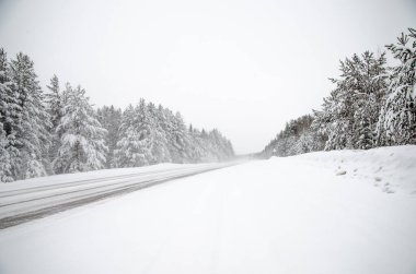 Kış yolu ve karlı ağaçlar. Minimalist kış manzarası. Bazıları Rusya 'daydı..