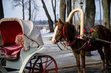 SUZDAL, RUSSIA - 08 Mart 2015: Rusya 'nın Suzdal kentinde kış günü. Altın Halka 'nın en popüler şehirlerinden biri.