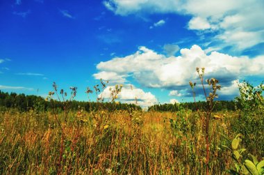 Rusya 'da ilkbaharın başlarında doğal manzara
