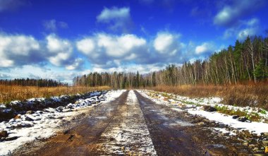 Orta Rus Ormanında İlkbahar