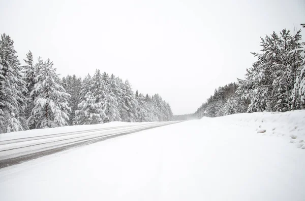 Strada Invernale Alberi Innevati Paesaggio Invernale Minimalista Alcuni Erano Russia — Foto Stock