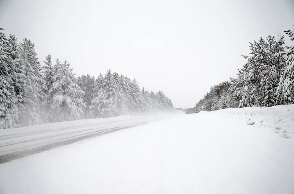 Estrada Inverno Árvores Nevadas Paisagem Inverno Minimalista Alguns Estavam Rússia — Fotografia de Stock