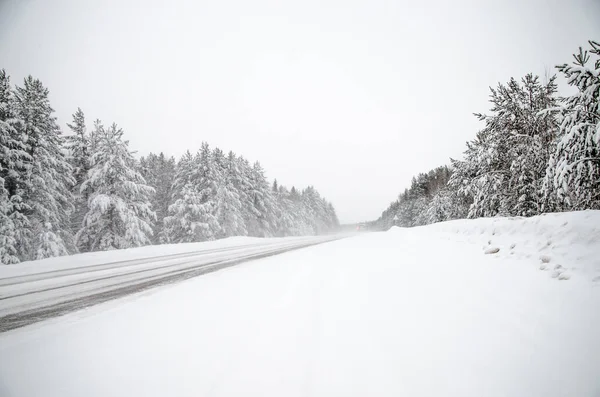 Strada Invernale Alberi Innevati Paesaggio Invernale Minimalista Alcuni Erano Russia — Foto Stock