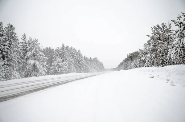 Estrada Inverno Árvores Nevadas Paisagem Inverno Minimalista Alguns Estavam Rússia — Fotografia de Stock