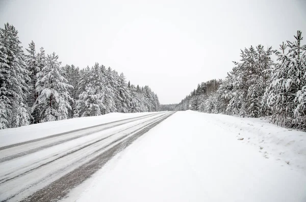 Estrada Inverno Árvores Nevadas Paisagem Inverno Minimalista Alguns Estavam Rússia — Fotografia de Stock