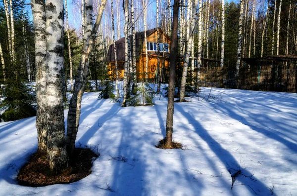 Maison Bois Dans Forêt Russe — Photo