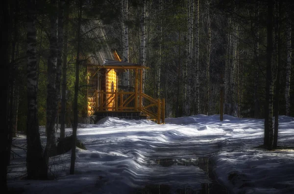 ロシアの森の木造住宅 — ストック写真