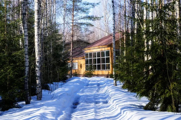 Maison Bois Dans Forêt Russe — Photo