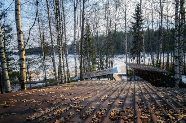 Rysk Tidig Vår Skogen Vid Sjön Seliger — Stockfoto