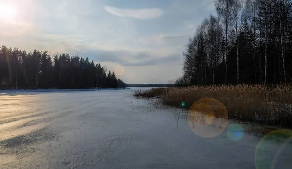 Russe Début Printemps Dans Forêt Sur Lac Seliger — Photo