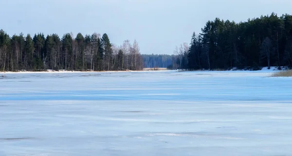 Русская Весна Лесу Озере Селигер — стоковое фото