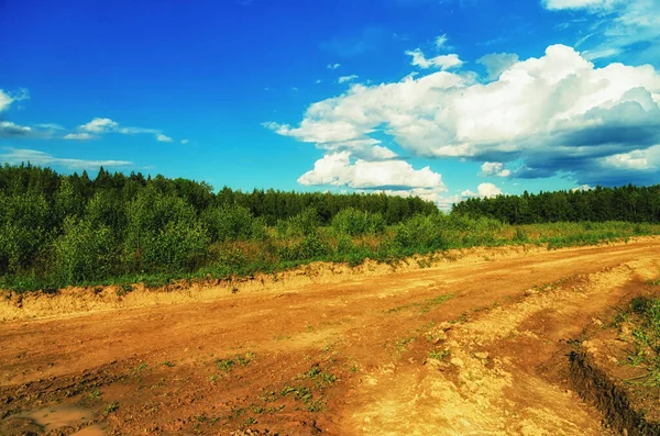 Krajobraz Naturalny Wczesną Wiosną Rosji — Zdjęcie stockowe